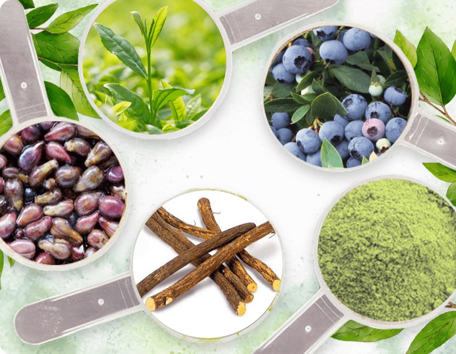 Green tea, bilberry, grape seed, licorice root and green tea powder