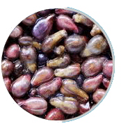 Grape seed extract